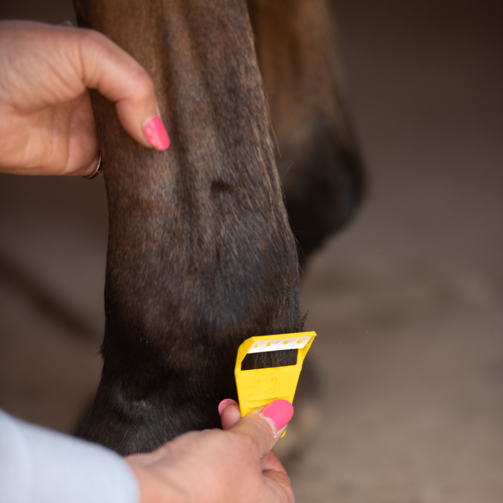 Smart Grooming Equi-Shave on feathers - fetlox