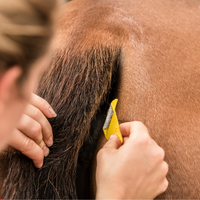 Smart Grooming equi-shave tail - fetlox