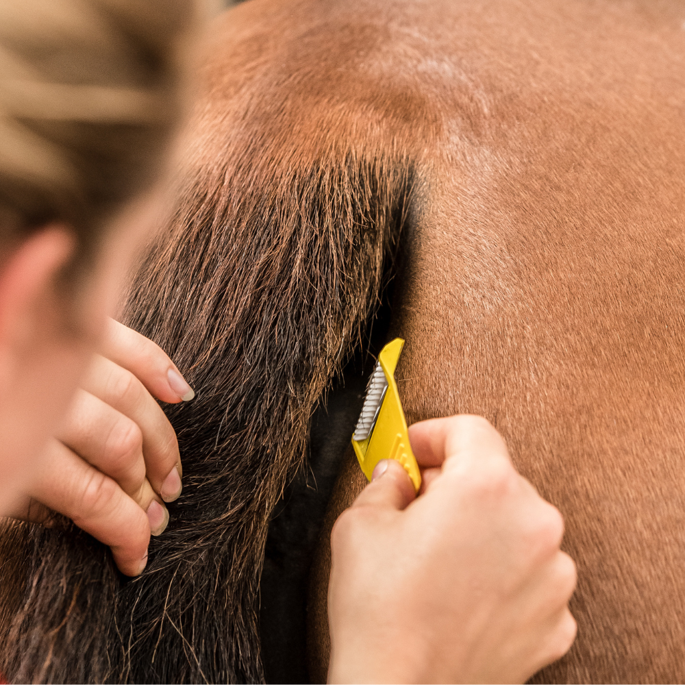 Smart Grooming equi-shave tail - fetlox