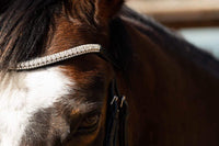 Clip On Browband - Diamond Sparkler - fetlox