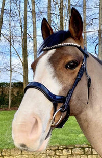 Clip On Browband - Diamond Studs - fetlox