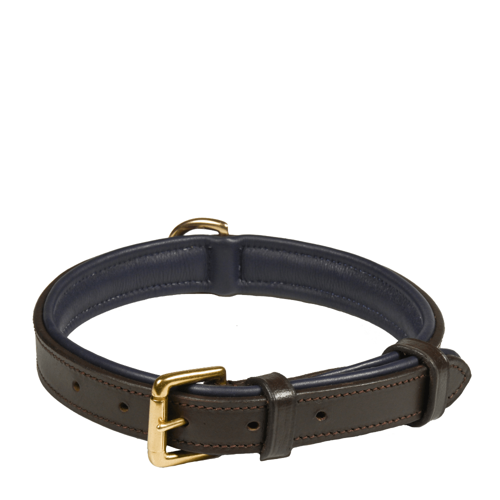 Deluxe Padded Leather Dog Collar - fetlox