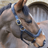 Fetlox Anatomical Headcollar - Havana Leather - fetlox