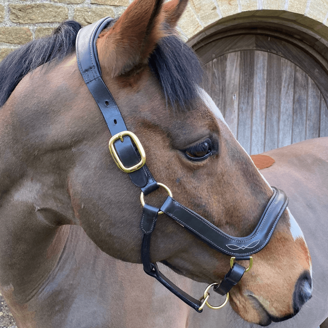 Fetlox Anatomical Headcollar - Havana Leather - fetlox
