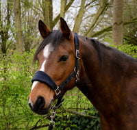 Fetlox Lead Rope & Fleece Headcollar - fetlox