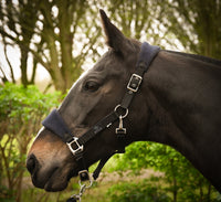 Fetlox Lead Rope & Fleece Headcollar - fetlox