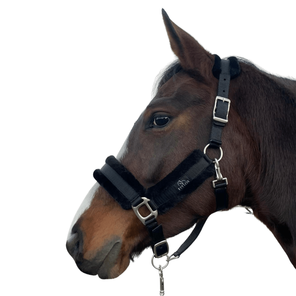 Fetlox Lux Headcollar & Leadrope - Black - fetlox