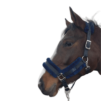 Fetlox Lux Headcollar & Leadrope - Blue - fetlox