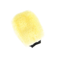 Grooming Mitt - fetlox