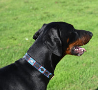 Polo Style Dog Collar - fetlox