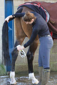 Smart Grooming Gloss n Go Finishing Spray - fetlox