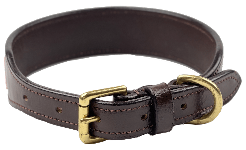 Beaded Dog Collar - fetlox