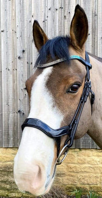 Clip On Browband - Turquoise Wave - fetlox