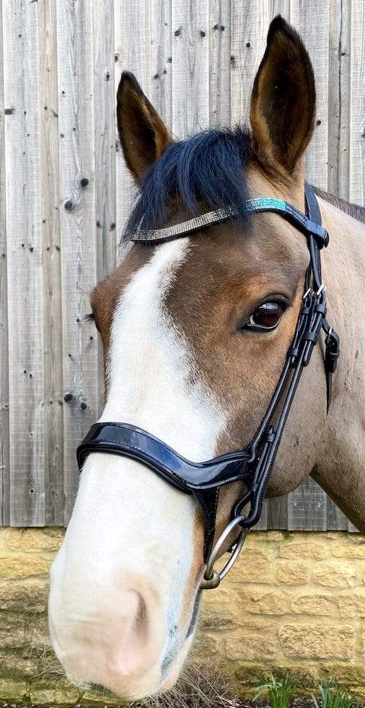 Clip On Browband - Turquoise Wave - fetlox