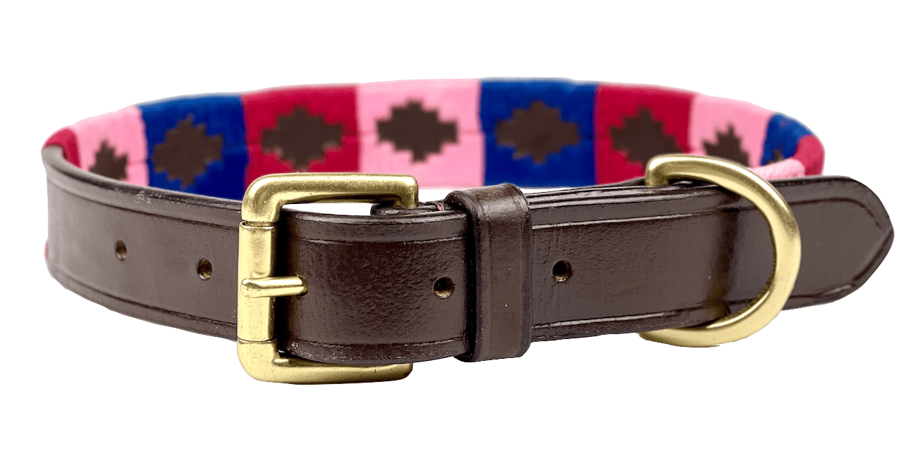 Polo Style Dog Collar - fetlox
