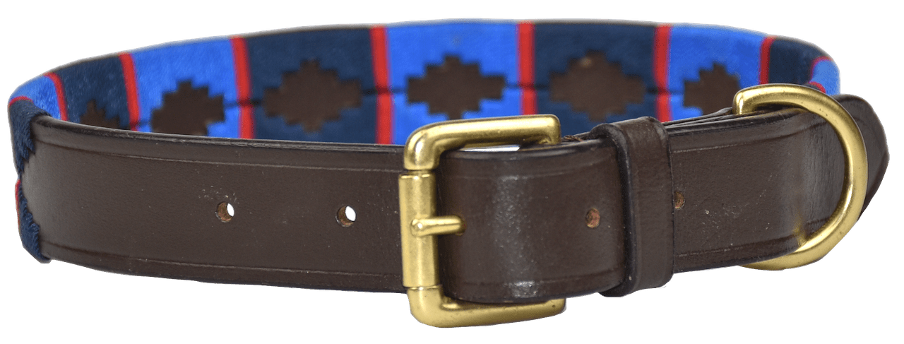 Polo Style Dog Collar - fetlox