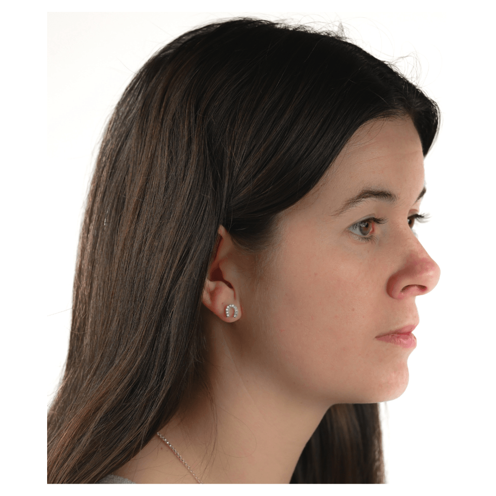 Silver Sparkly Horseshoe Earrings - fetlox