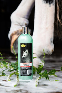 Smart Grooming Peppermint Shampoo - fetlox