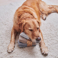Sweet William Designs - Hondenuitlaatsokken - Zwarte Labrador
