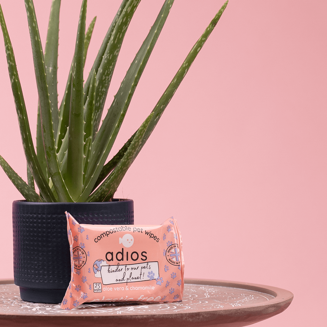 🌱 Compostable Pet Wipes 🐶🐾
