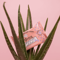 🌱 Compostable Pet Wipes 🐶🐾