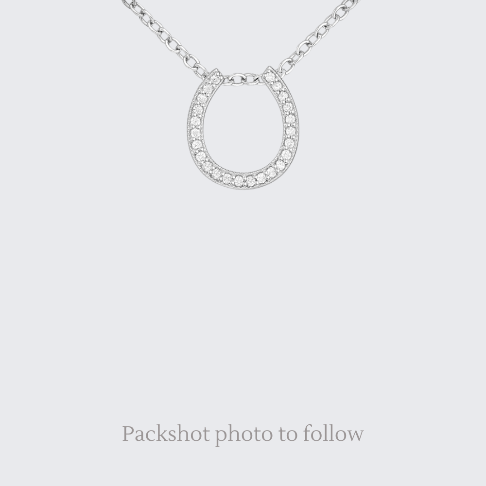 Sterling Silver Sparkly Horseshoe Pendant Necklace