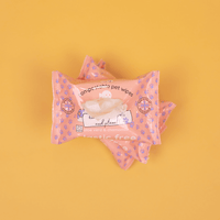 🌱 Compostable Pet Wipes 🐶🐾