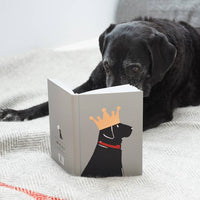 A black Labrador retriever lies on a textured light gray blanket, reading a hardcover book with a black dog wearing a gold crown illustration on the cover.