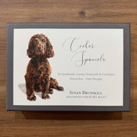 A square product box for Susan Brunskill 'Cocker Spaniels' notecards and envelopes, featuring a painted brown dog on a white front panel with a dark gray border, placed on a wooden surface.