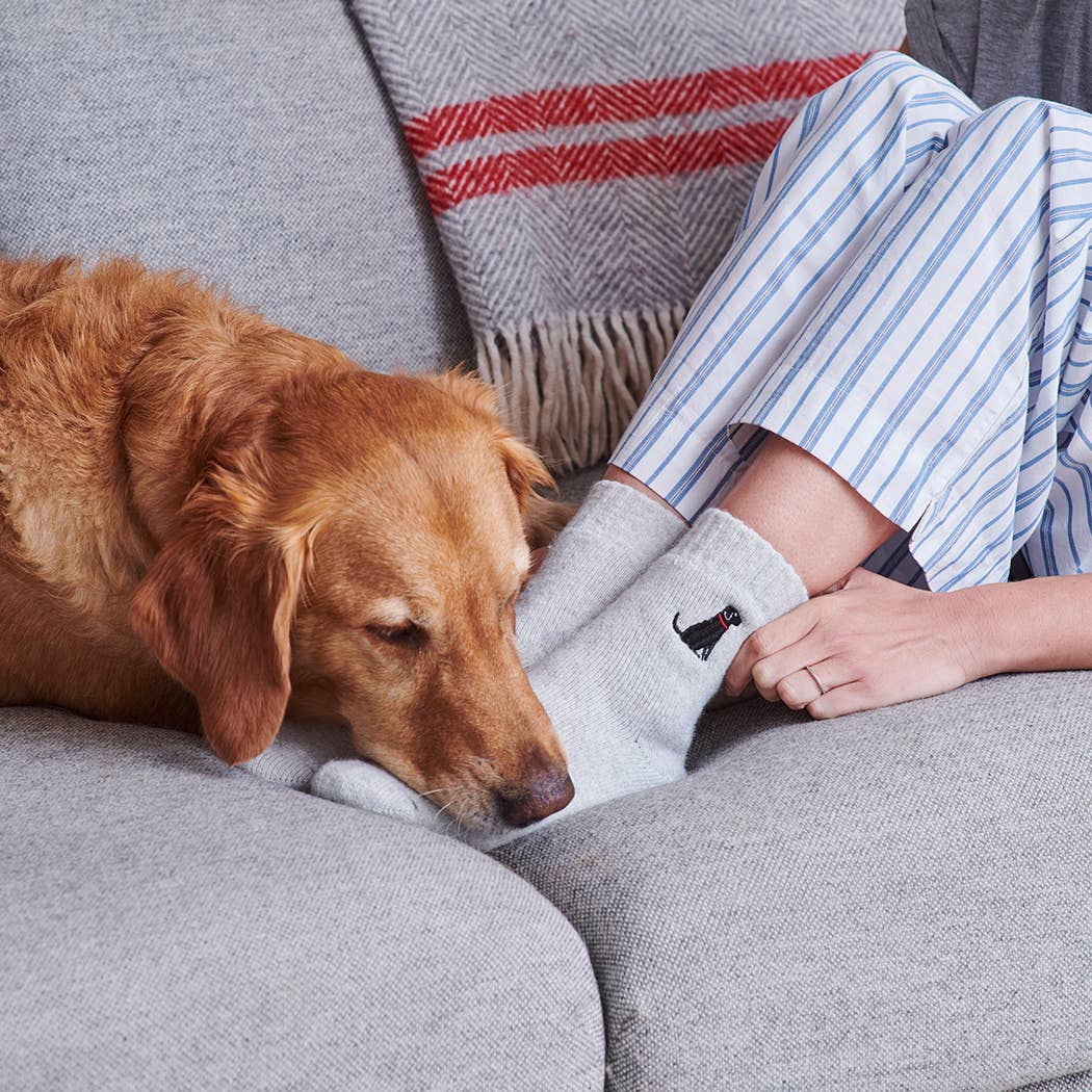 Sweet William Designs - Hondenuitlaatsokken - Zwarte Labrador