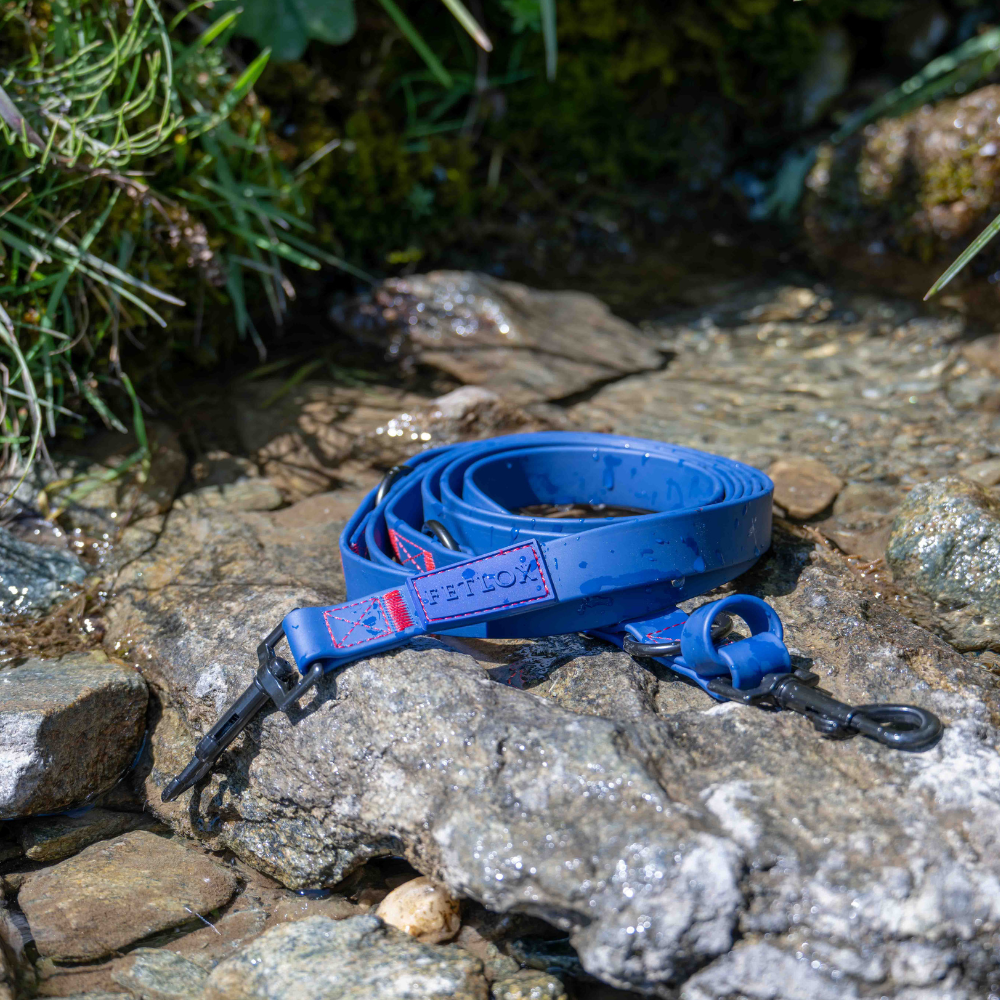 Blue PVC Dog leash on rocky watery surface - fetlox 