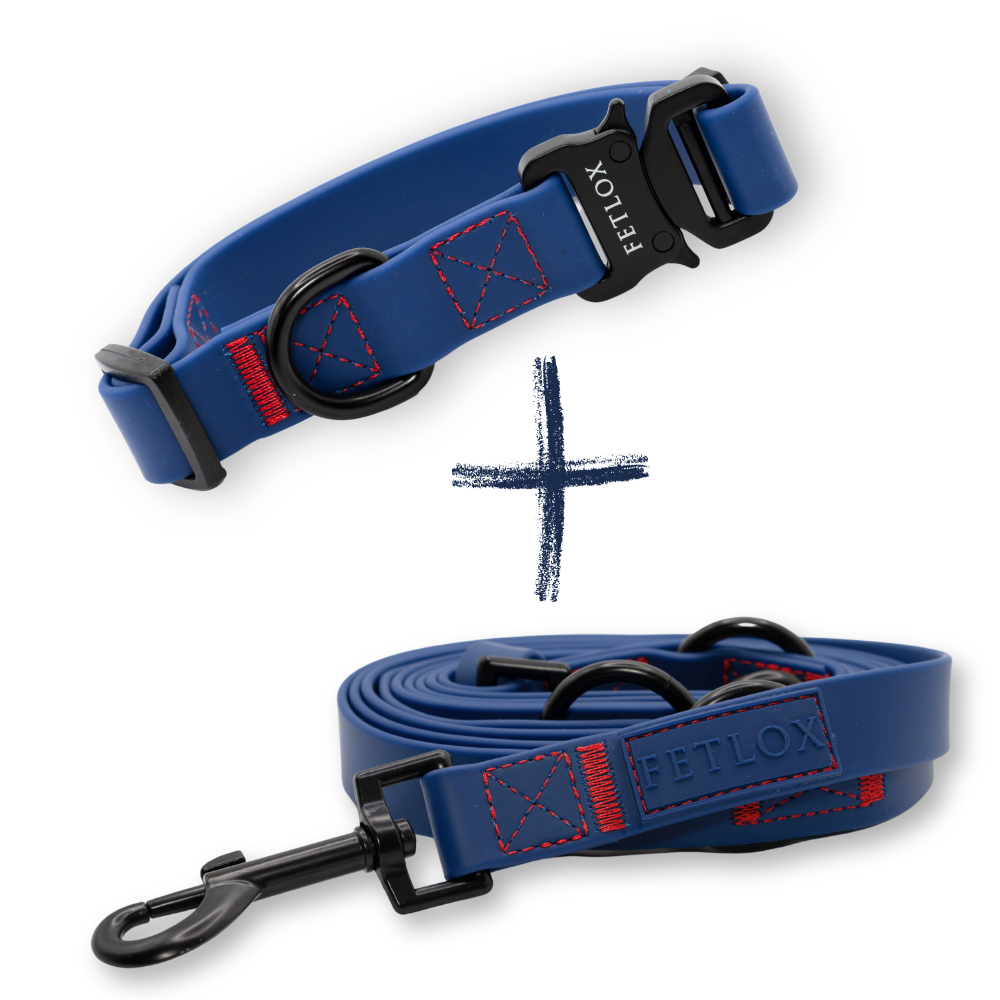 Rufus PVC Dog Collar & Leash Blue Set