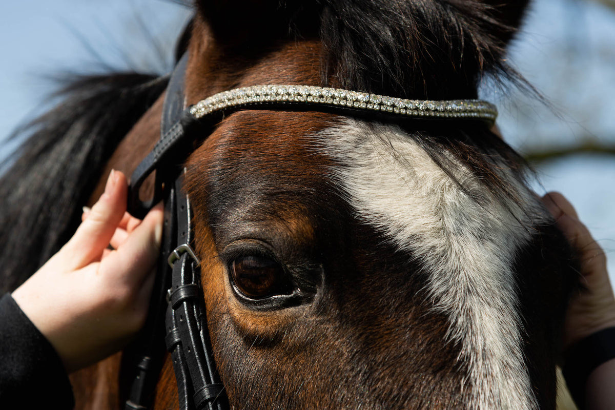 Fetlox Clip-On Browband - Fetlox