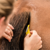 Smart Grooming equi-shave tail - fetlox 