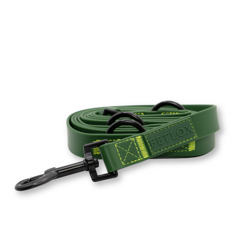 Green dog leash with black clip on a white background