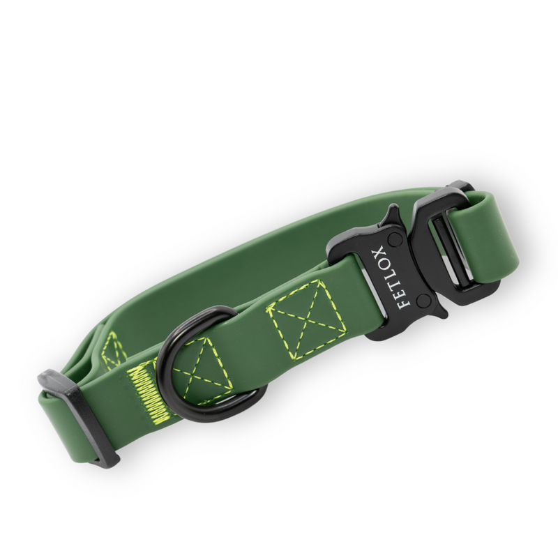 Green dog collar with black hardware on a white background