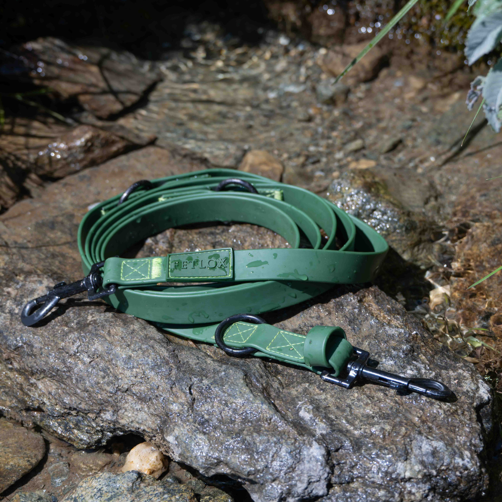 PVC Green dog leash with metal clips on a rocky watery surface