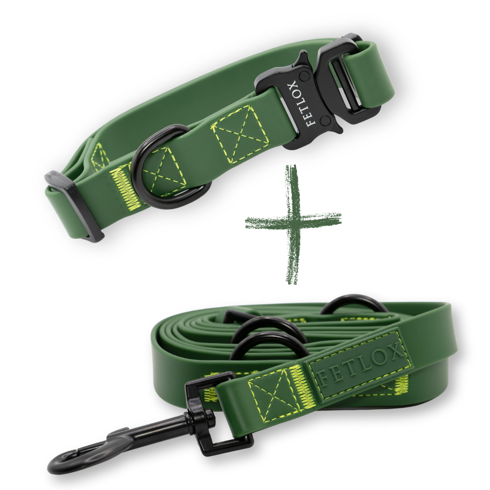 Rufus PVC Dog Collar & Leash Green Set