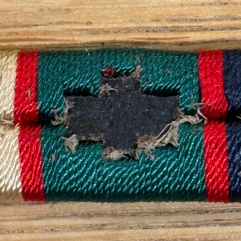 Seconds - Polo Style Dog Collar