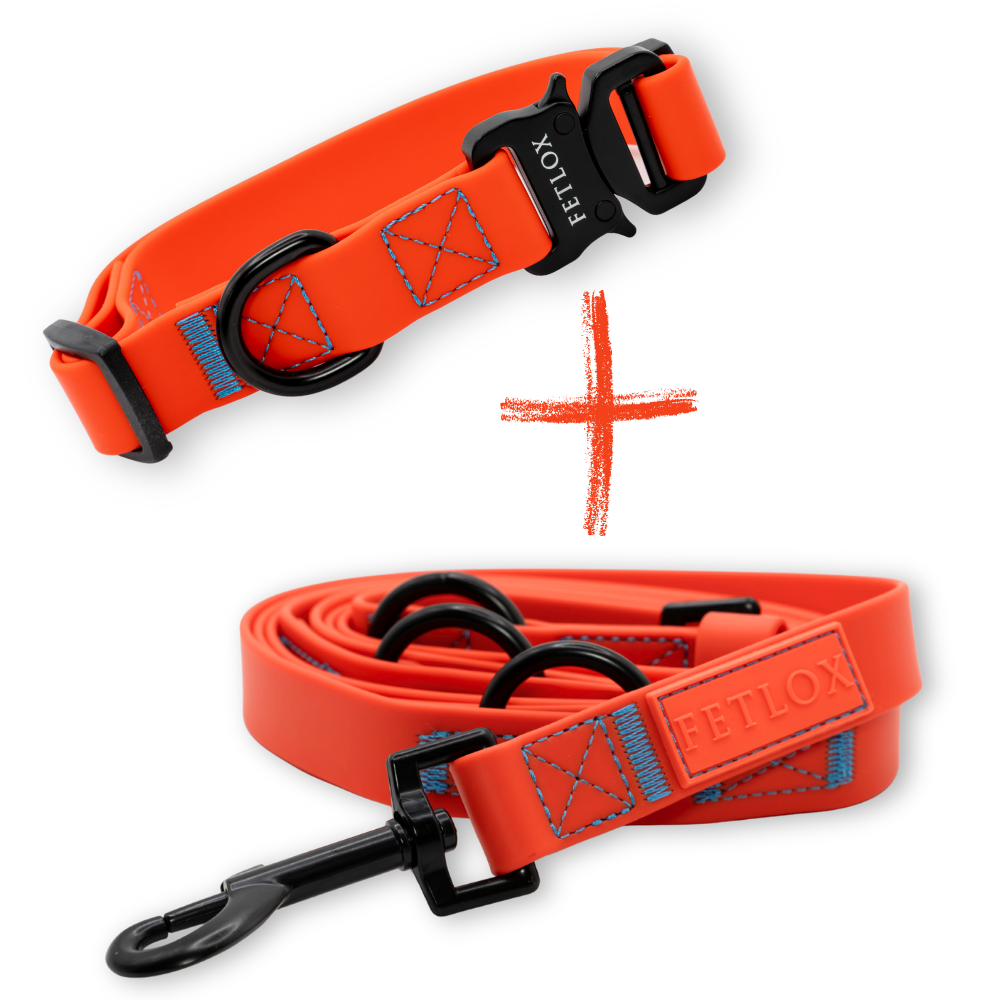 Rufus PVC Dog Collar & Leash Orange Set
