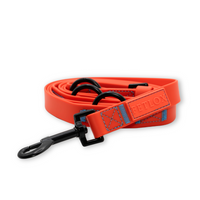 Orange dog leash with black clip on a white background