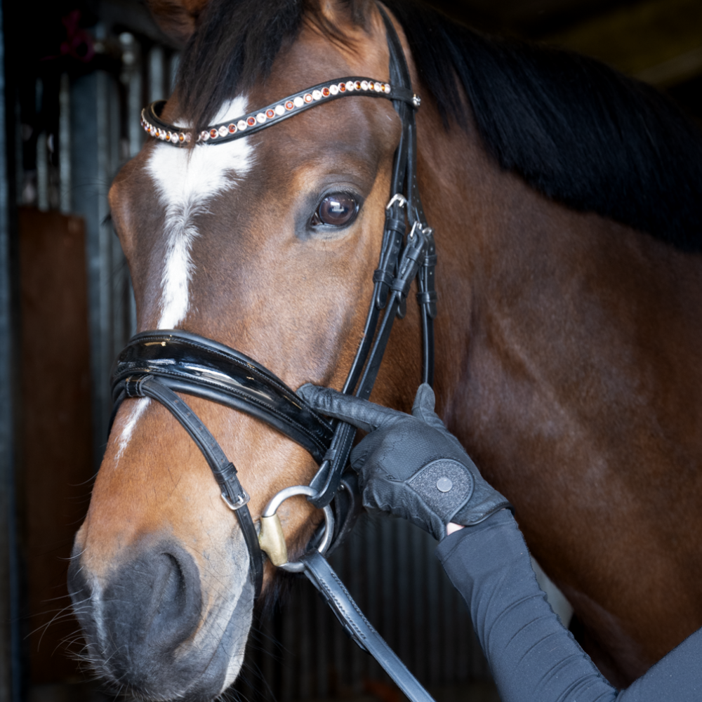 Black-pro-sparkly-riding-gloves-fetlox 