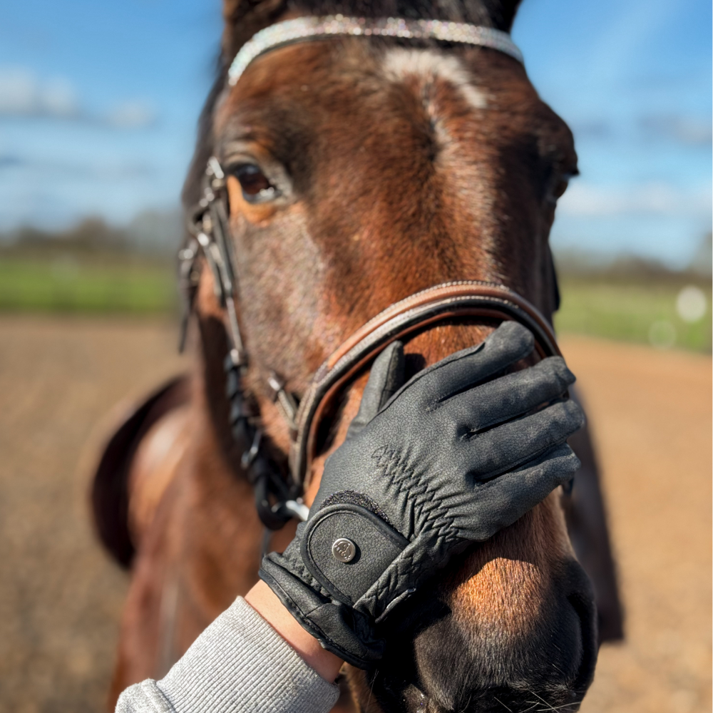 black-waterproof-riding-gloves-fetlox 