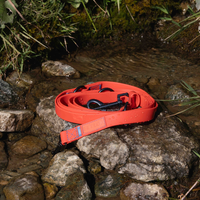 Rufus orange leash in the water 