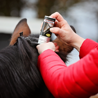 Smart Grooming Plaiting Wax in use - fetlox 