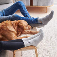 Sweet William Designs - Hondenuitlaatsokken - Zwarte Labrador