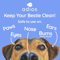 Dog's face with text about pet care product safety on various parts of a dog's body against a blue background.