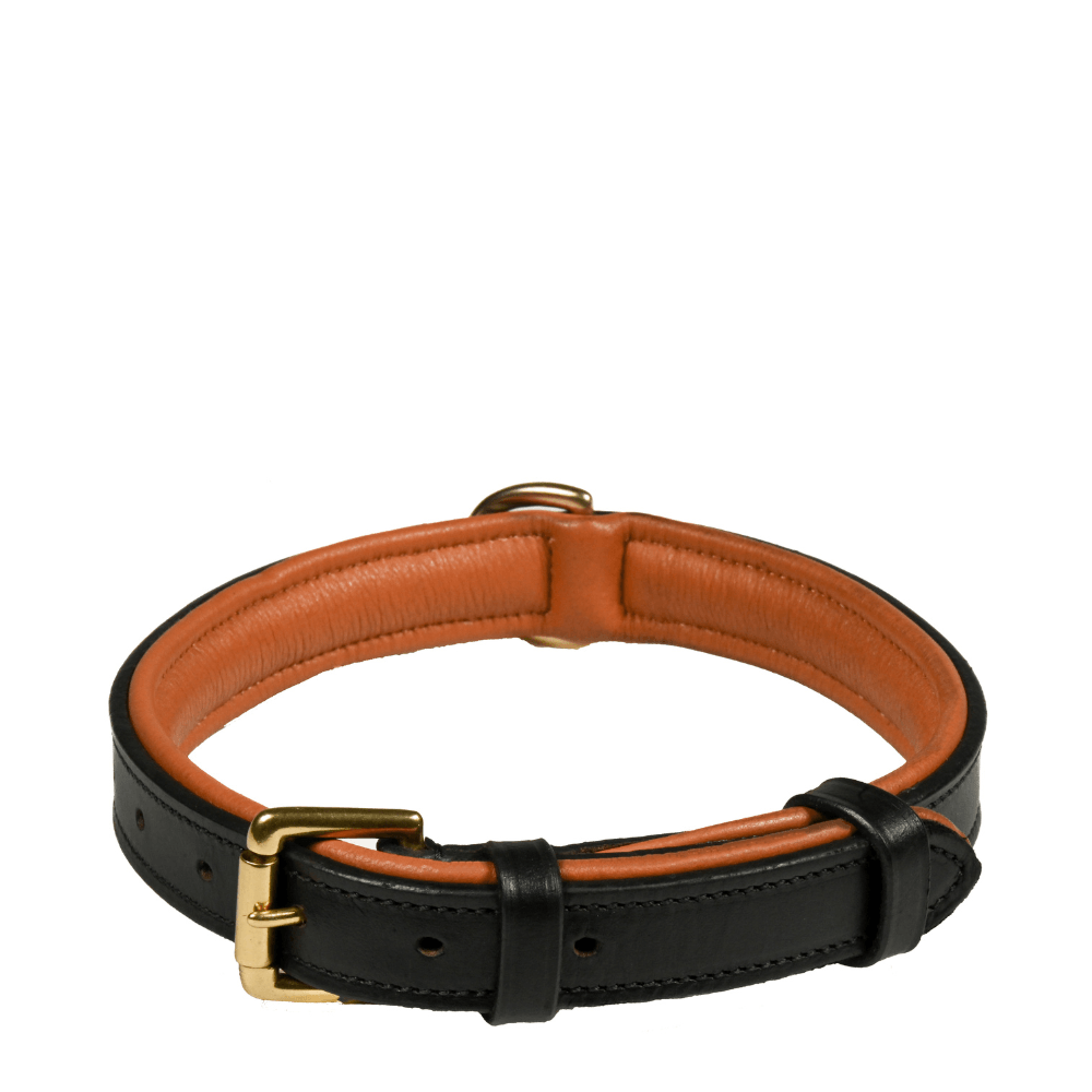 Deluxe Padded Leather Dog Collar - fetlox