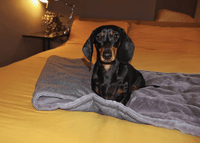 Luxury Washable Herringbone Dog Blanket | Balmoral