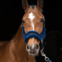 Fetlox Lux Headcollar & Leadrope - Blue - fetlox